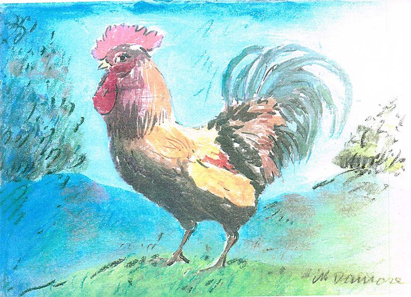 gallo